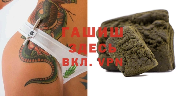 кокс Гатчина